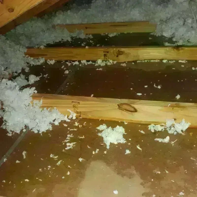 Attic Water Damage in Carthage, MO